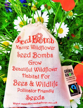 100 Native British Wildflower Seed Bombs, 20 Native Wildflower Seed Bombs